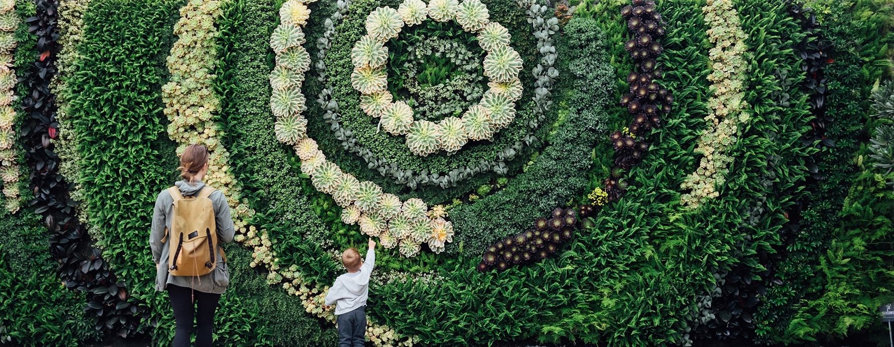 a person and a child walking through a maze of bushes